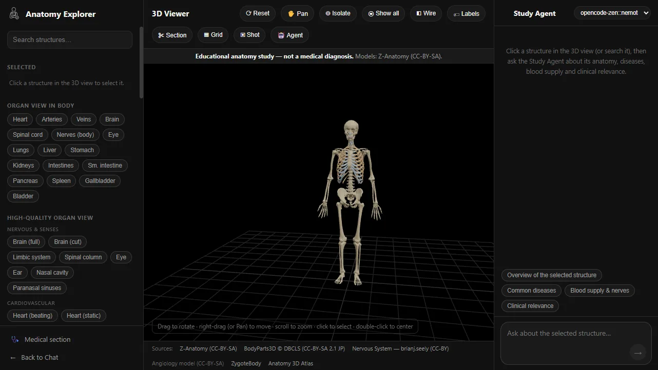 The anatomy explorer showing the skeleton
