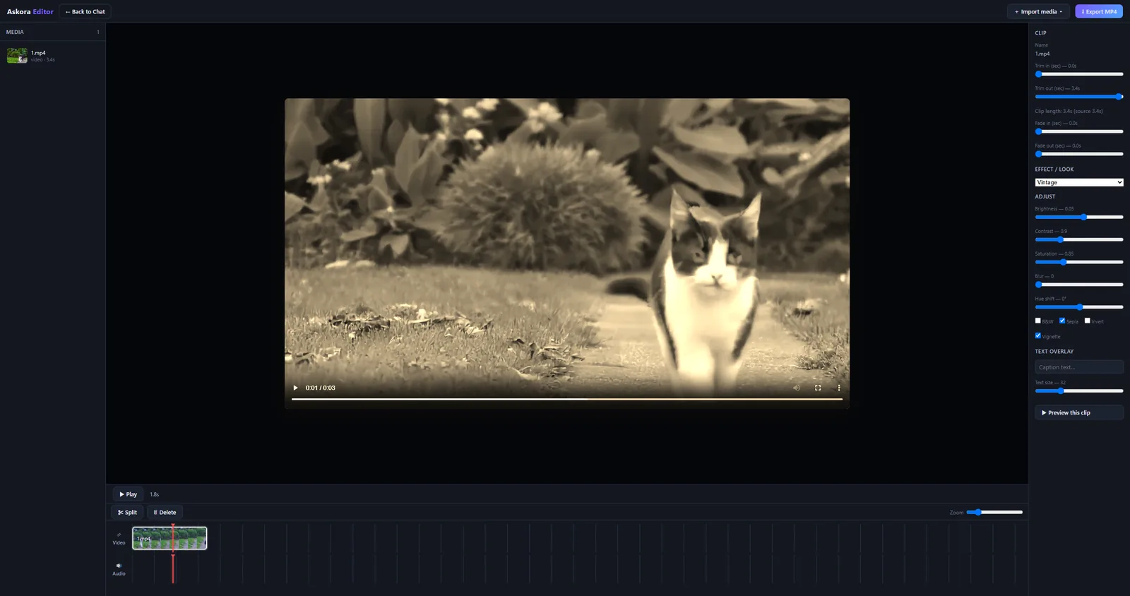 The same clip with a Vintage look applied