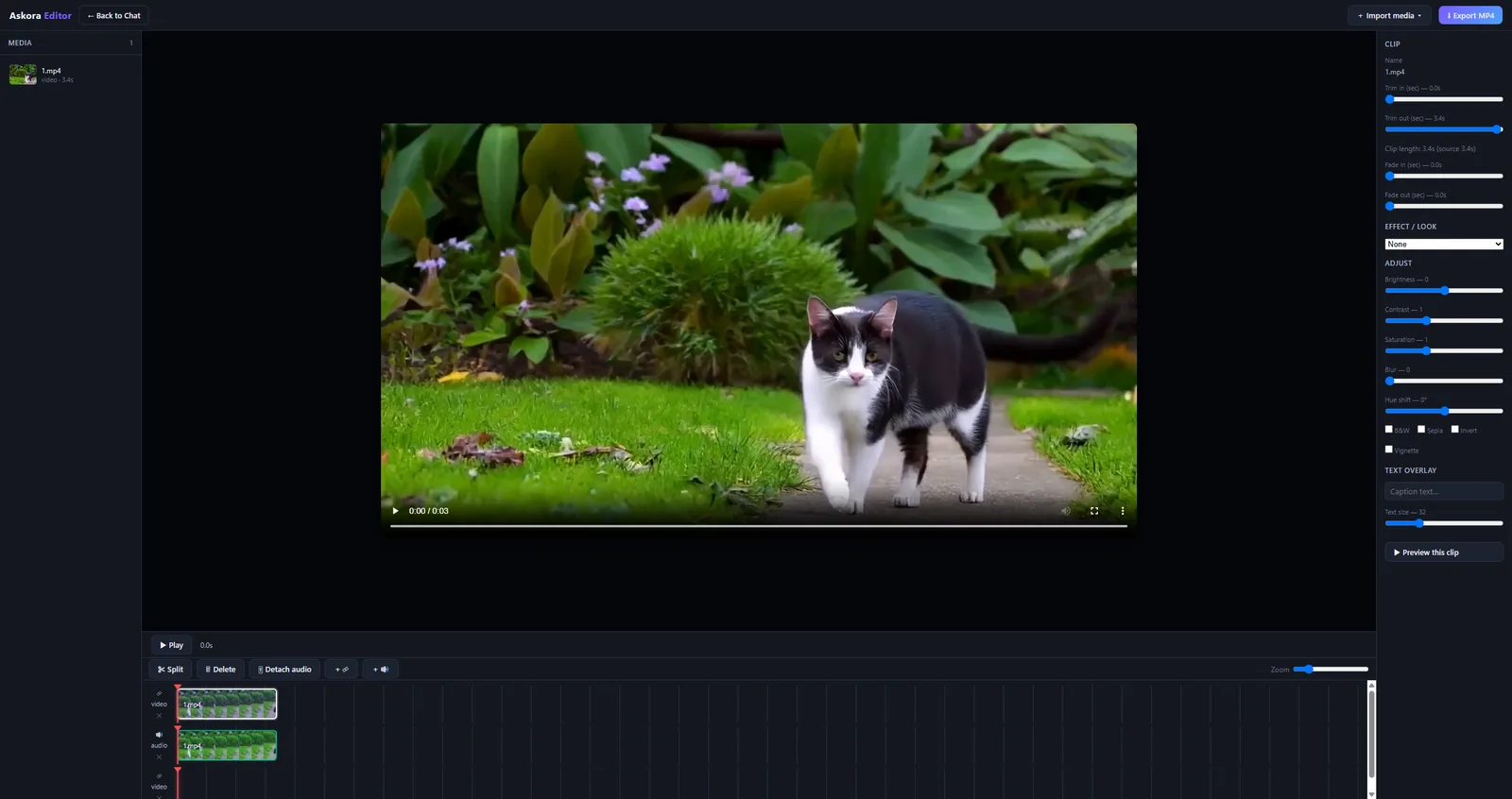 The editor with a generated clip on the timeline